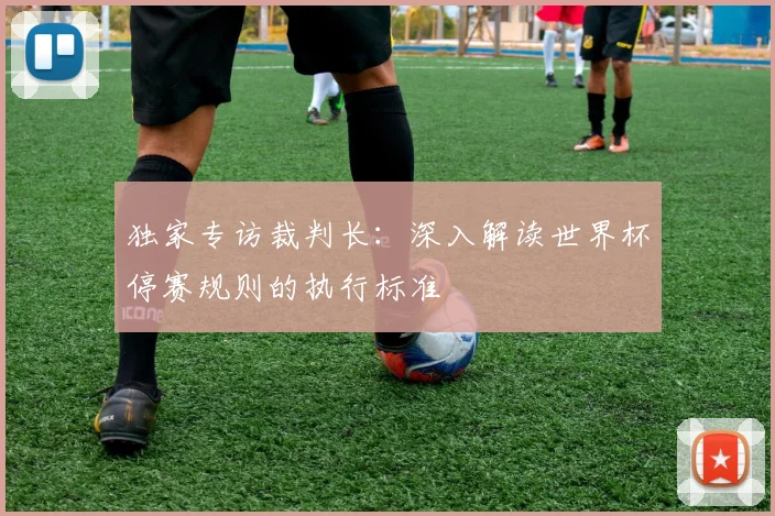 独家专访裁判长：深入解读世界杯停赛规则的执行标准