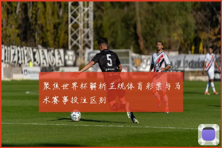 聚焦世界杯解析正规体育彩票与马术赛事投注区别